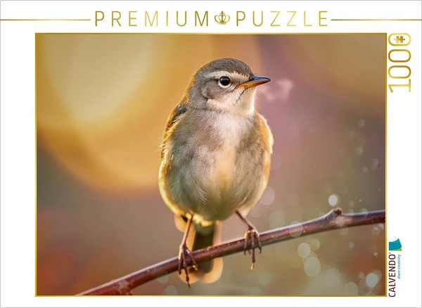 Calvendo Puzzle The Little Star—A Look That Stays With You. | 1000 Pieces, Finis-image