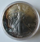 1991 SILVER EAGLE 1 OZ .999 FINE SILVER COIN USA TONED