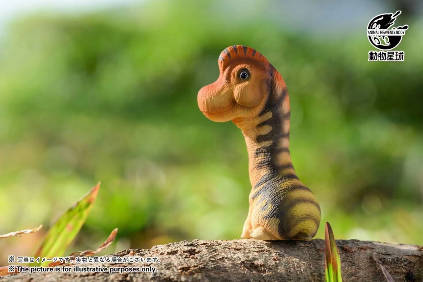 Picture 10 of 15