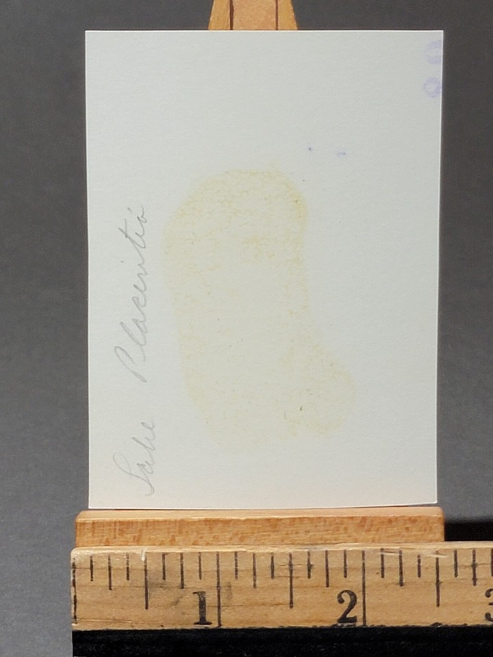 Young Athletic Swimsuit Man Dives Erect Off Diving Board vintage