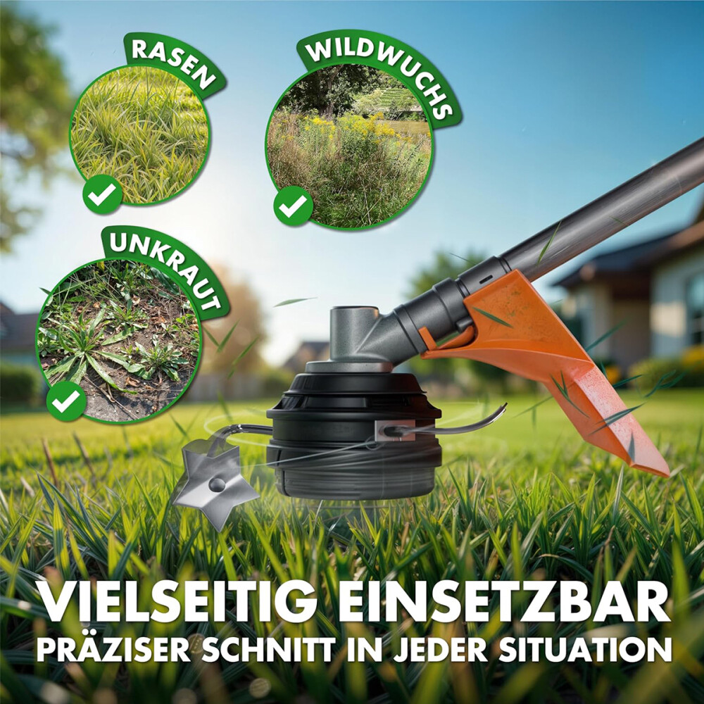 Bild 14 von 22