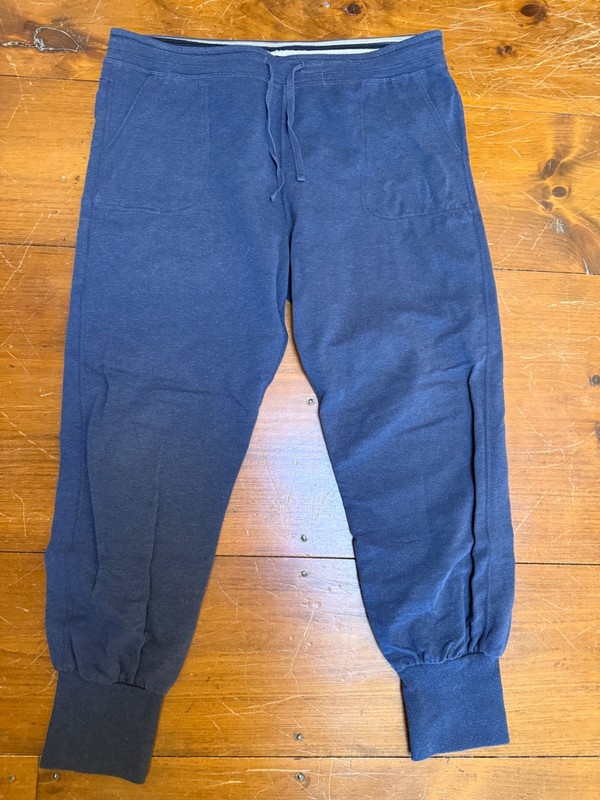 WOMENS PATAGONIA AHNYA PANTS SIZE L BLUE STRIPED WAISTBAND ORGANIC COTTON BLEND