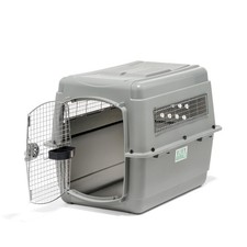 Petmate Sky Kennel 36 Inch Model 00400 Airline Compliant Dog Crate