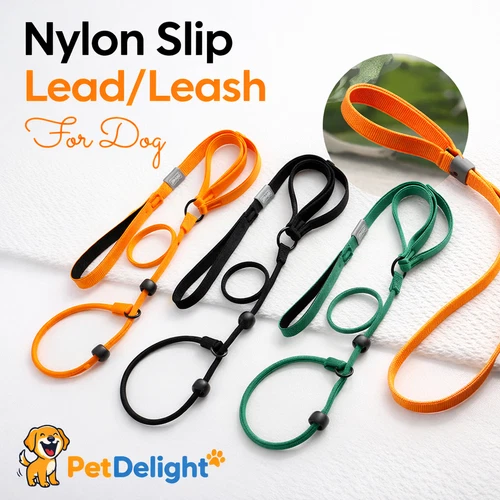 Dog Leash Nylon Slip Lead with Double Handle Heavy Duty Training & Walking Leash
