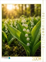 Calvendo Puzzle Lilies Of The Valley In The Morning Light | 2000 Pieces, Finishe