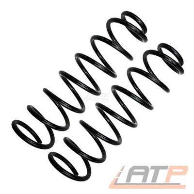 FEDER FEDERN FAHRWERKSFEDER FAHRWERKSFEDERN SATZ HINTEN FÜR AUDI A4 B5 8D 94-00