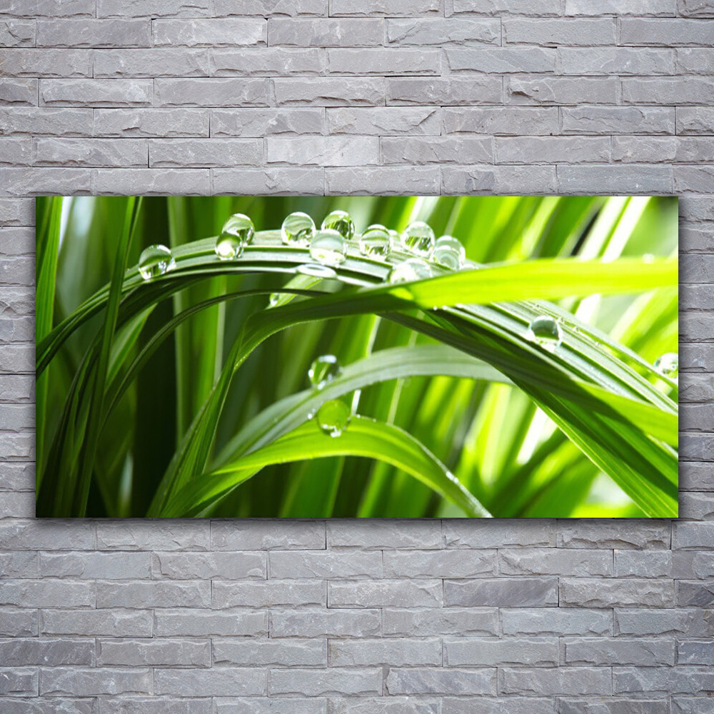 Tableau photo sur toile 120x60 cm impression nature herbe et gouttes d'eau