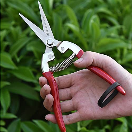 Garden Shears Pruning Shears For Gardening Pruner Pruning Shear For Plants Grape - Picture 5 of 7