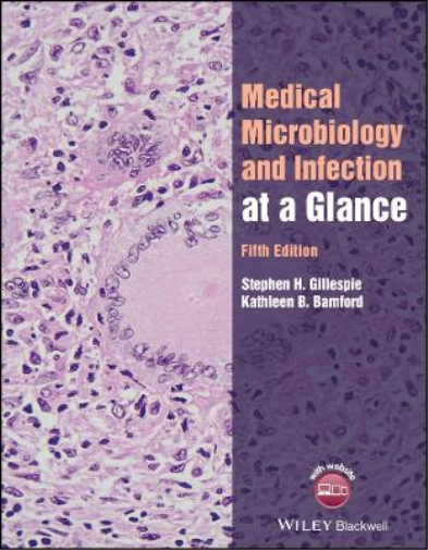 Stephen H. Gillespie Kathleen  Medical Microbiology and Infection a (Tascabile)