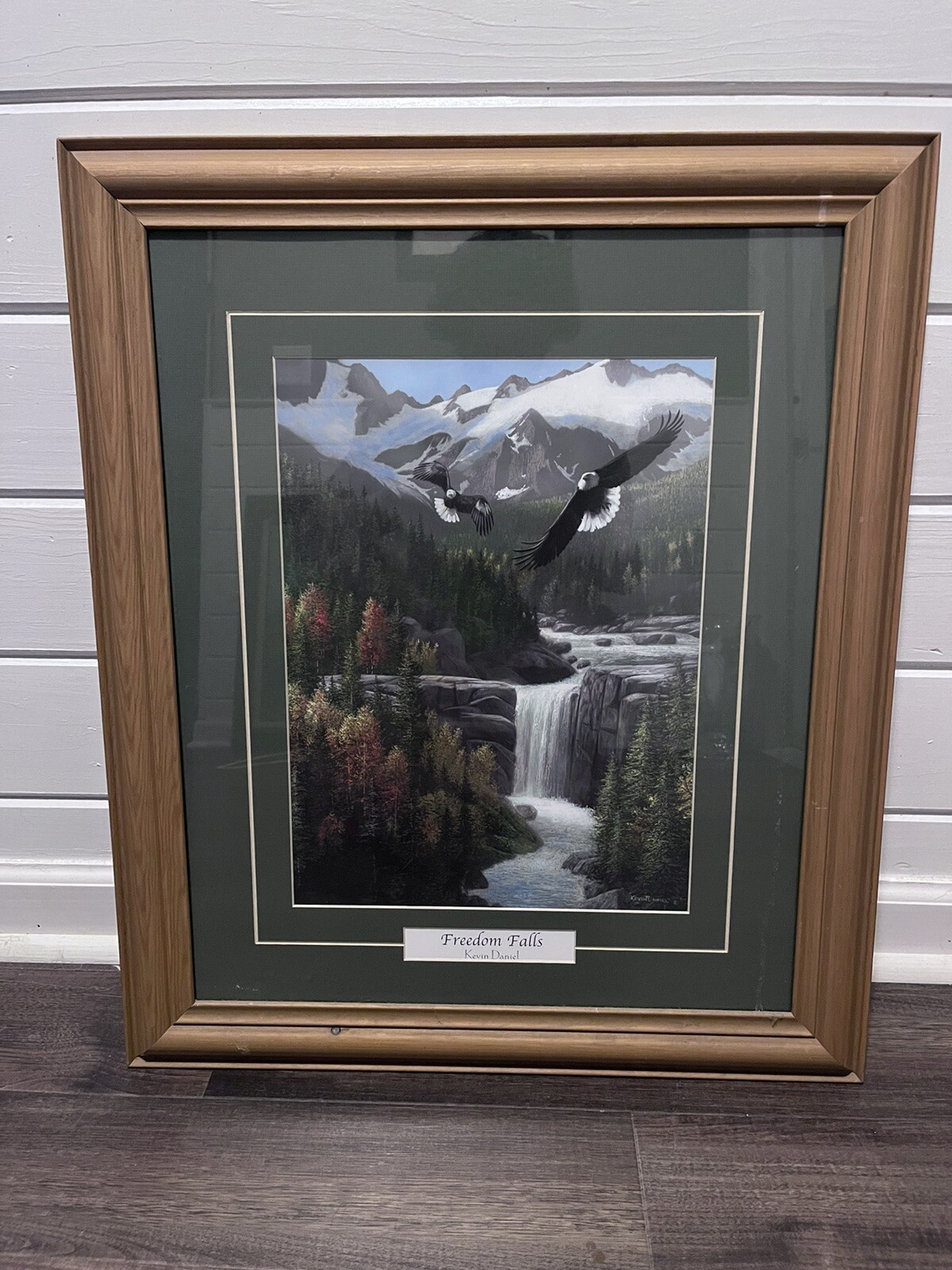 NWF Limited Edition Painting-“Freedom Falls” By Kevin Daniel