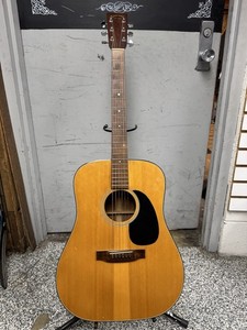 Takamine Lawsuit F340 | eBay