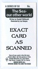 1-50 THE SEA OUR OTHER WORLD 1974 BROOKE BOND PG TIPS TEA CARDS SINGLE CARD PICK