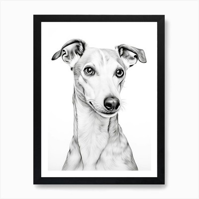 Whippet Hund, Linienzeichnung 1 Kunst Pri gerahmtes Wandbild Poster Leinwanddruck Bild