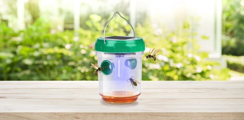 Grundig LED SOLAR Wespenfalle Mückenfalle Wespenschutz 3er Pack - Bild 4 von 4