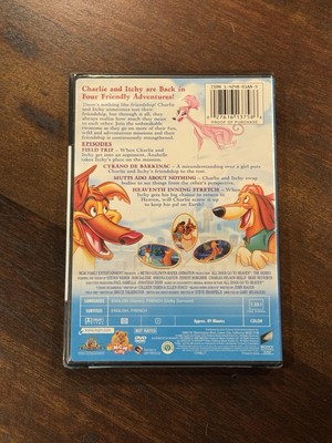 【中古】「非常に良い」Road to God Knows Where / Live at the Paradiso [DVD] [Import] Amazon.co.jp: Road to God Knows Where / Live at the Paradiso [DVD