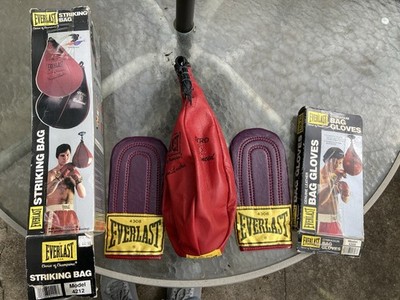 Vintage Everlast Bag Gloves And Striking Bag