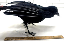 Black Lifesize Raven Prop Fake Crow Halloween Fall Accessory
