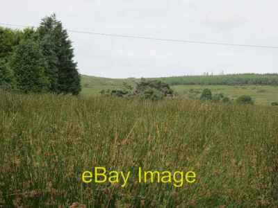 Photo 6x4 Wetland beneath the Ox Mountains Ballyglass Dense rush illustra c2012