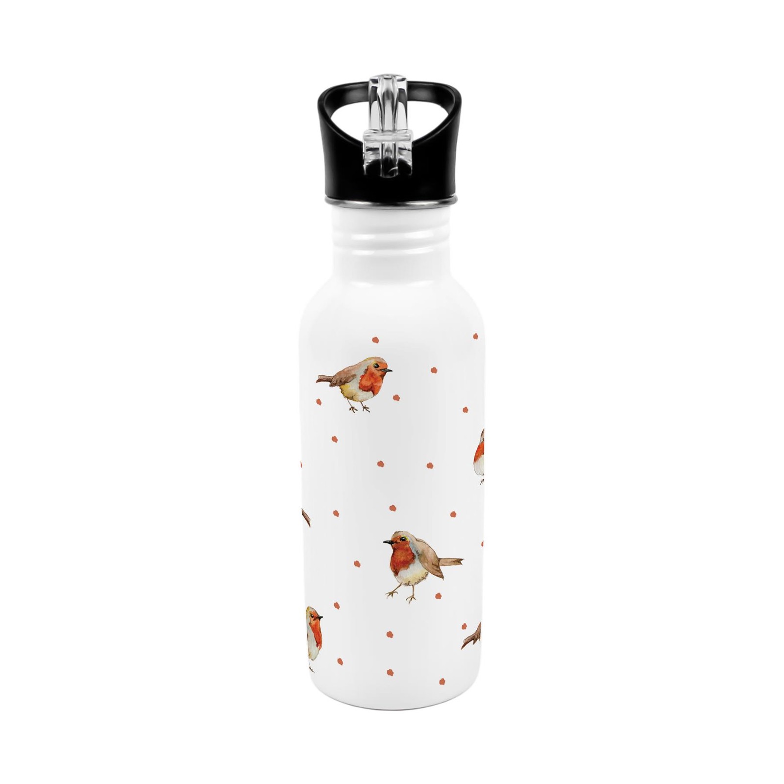 Cute Robins Metal Canteen Gift  - 600ml Water Bottle with Flip-Straw Lid