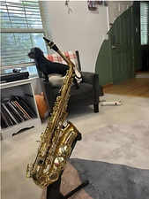    Eastar AS-  Alto Saxophone E Flat F Key Sax With Hard Case  Accessories