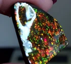 Ammolite  Ammonite   Coated Stone 26x22x6mm C6227