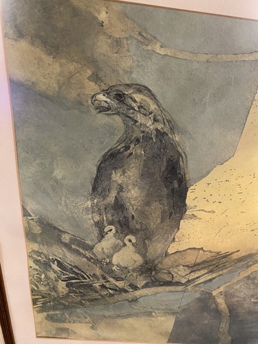 Sue Wise Large Signed Lithograph Nest with Baby Falcons Framed 40”x26” - Picture 2 of 19