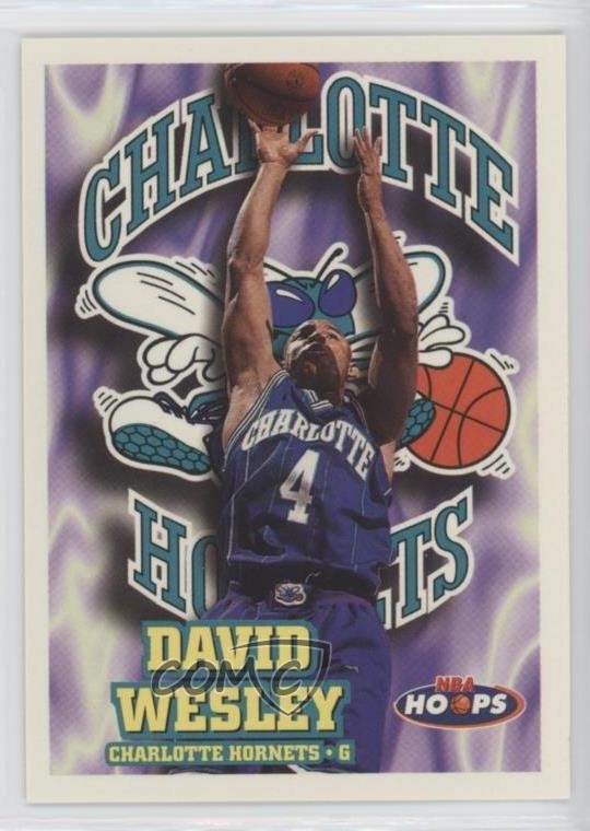 1997-98 NBA Hoops David Wesley #217 wo2