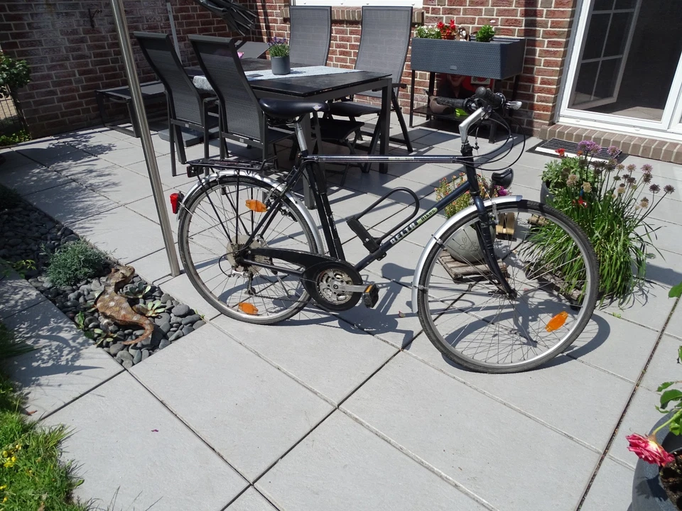 Fahrrad Delta Bikes Godzilla - Bild 2 von 4