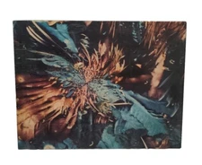 Microscopic Vitamin C Springbok 500 Piece Puzzle                             PS3