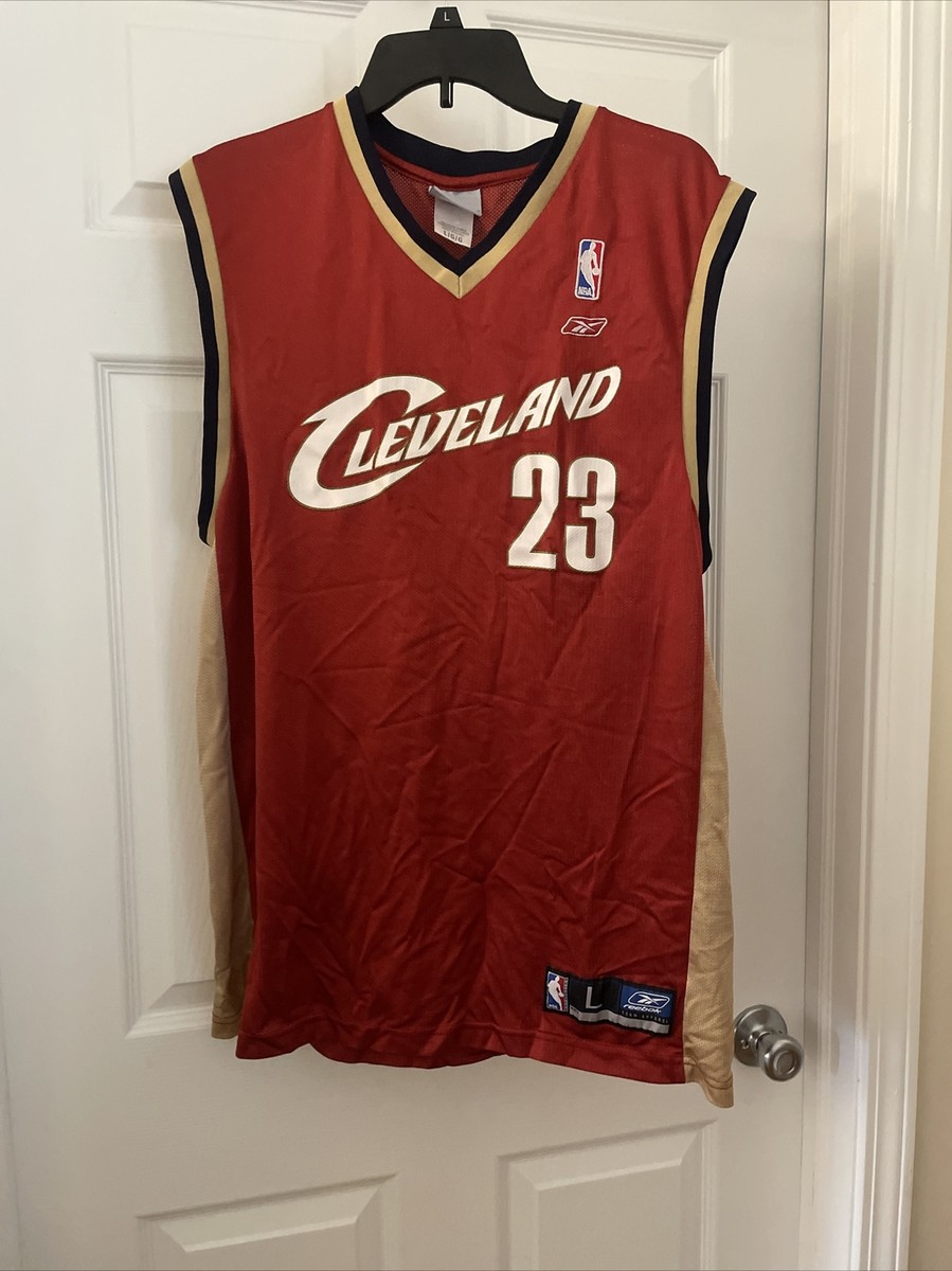 LeBron James Cleveland Cavaliers Jersey Reebok Size Large | eBay