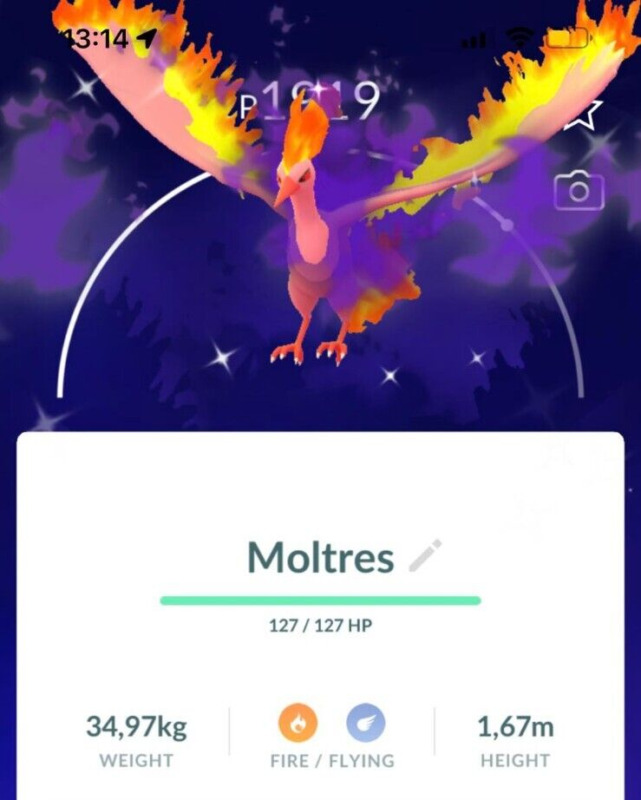 PokéMon Go Shiny Eevee Adrored with Cherry Blossoms - P”T C or Trade  Registered