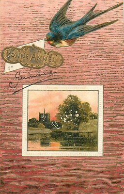 CP ILLUSTREE RELIEF GOOD YEAR MEDAILLON LANDSCHAFT ''KRATZER'' VOGEL - 15141