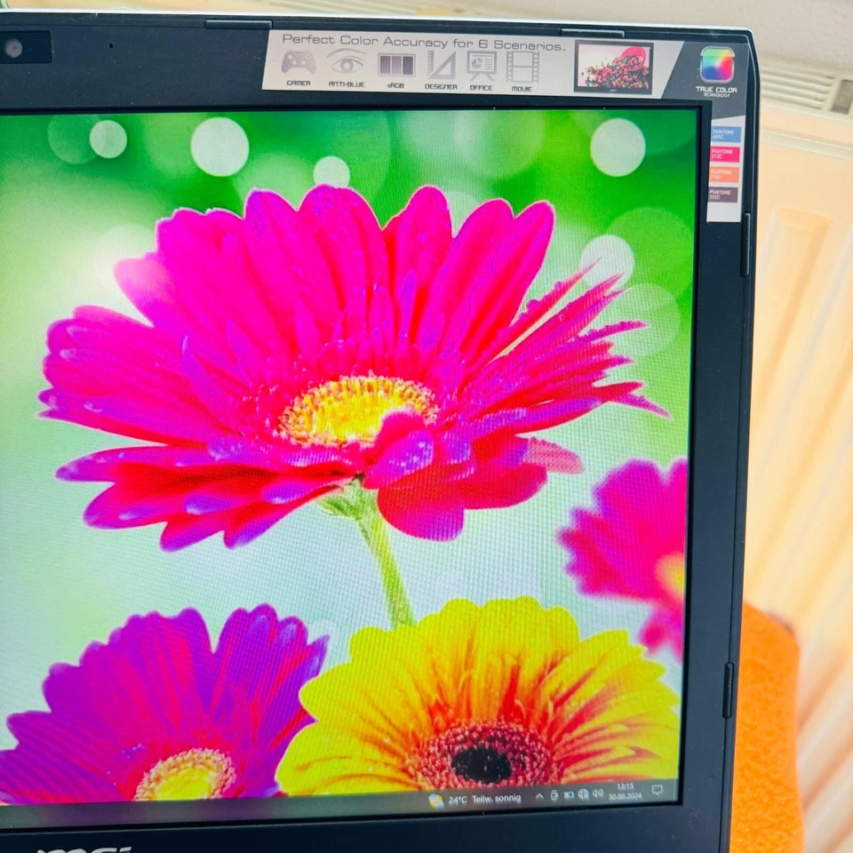 MSI Prestige PE70 6QE 17Zoll METALL DESIGNER Gaming GTX BOLIDE Windows 10 SSD i7 - Bild 4 von 4