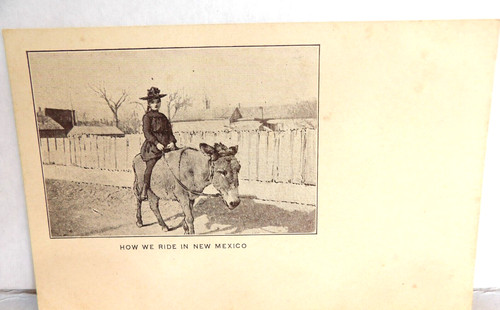 Humorous New Mexico Donkey Antique Postcard c. 1905