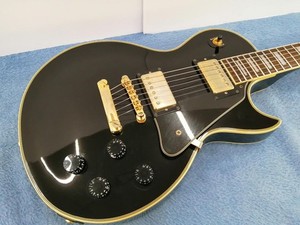 Aria Pro II Custom | eBay