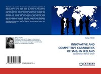 Innovative And Competitive Capabilities Of Smes In Ireland Bakiye Yalinc