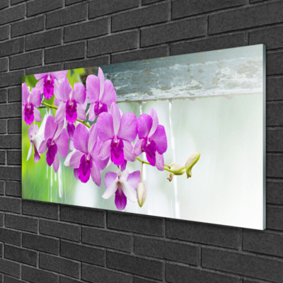 Tableau Plexiglas Premium - Boutique de tableau en plexiglas