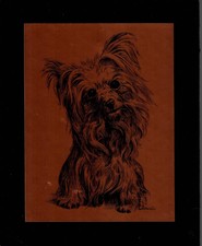 Kupferbild - Kupferdruck Kleines süsses Hündchen - Hund ca 20x24 cm Holzplatte