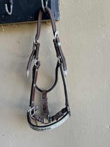 Broken Horn Silver western Show Halter Yearling Size beautiful vintage