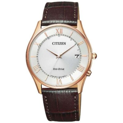 CITIZEN Eco-Drive 腕時計 AS1062-08A Citizen Collection AS1062-08A Eco-Drive Quartz Watch New + Box