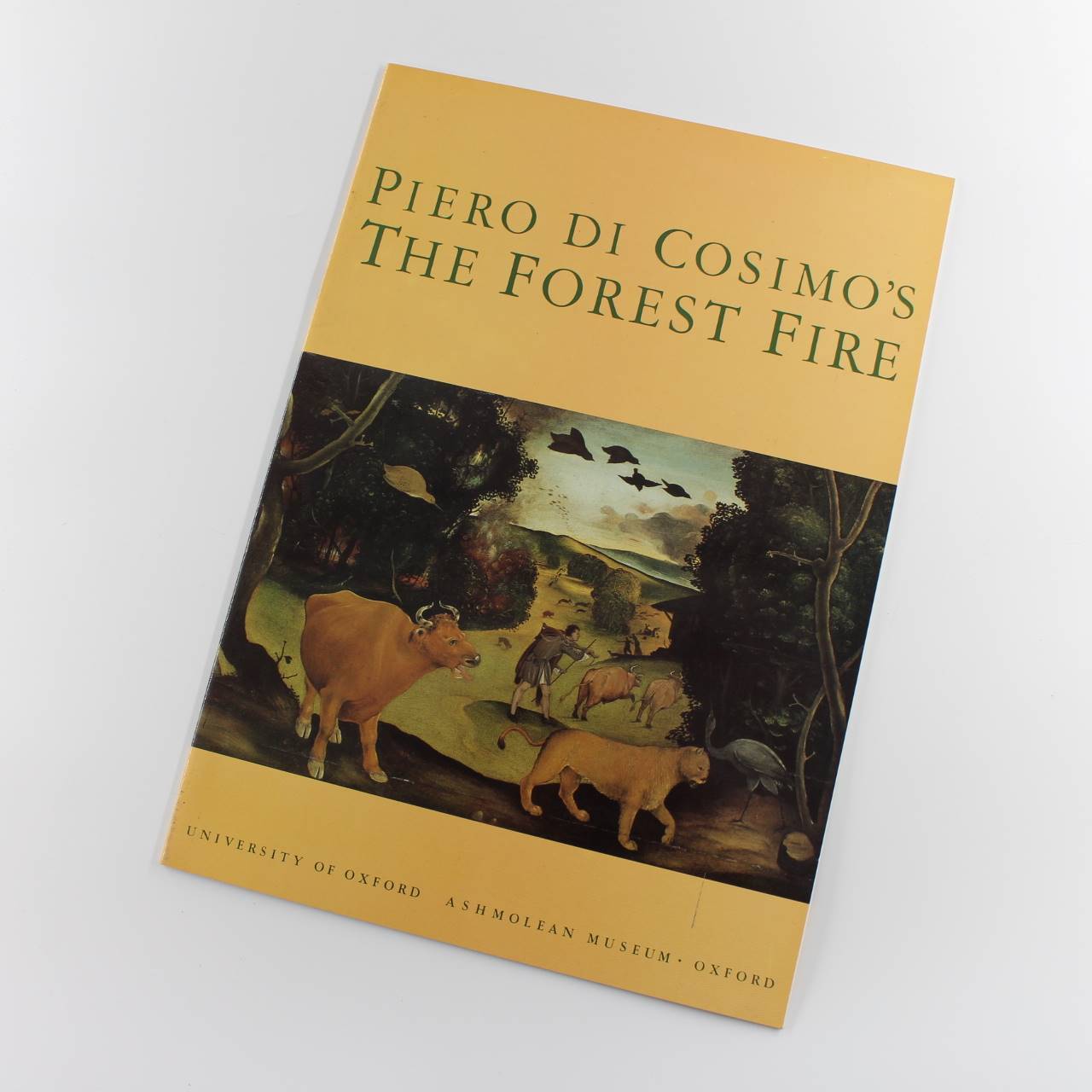Piero Di Cosimo's Forest Fire book by Ann Jones, Sarah Shalgosky Famous Pictures