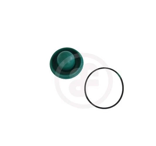 AUTOFREN SEINSA Repair Kit brake master cylinder D1286 - Bild 1 von 1