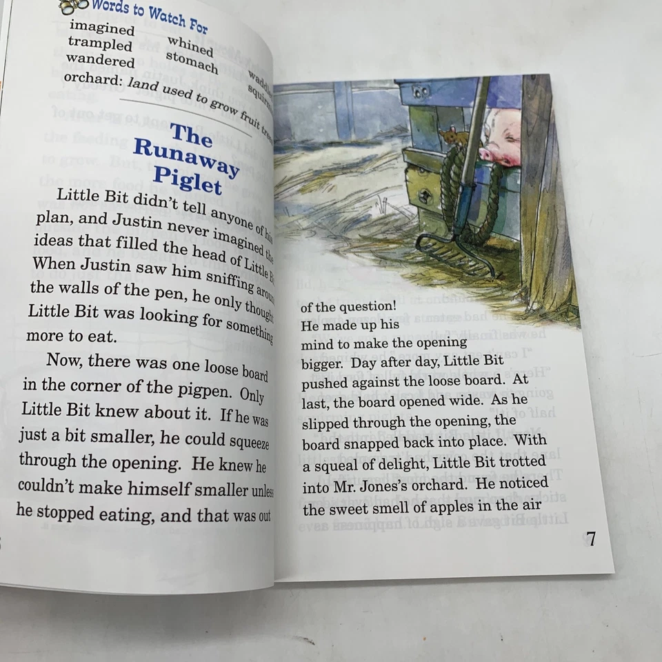 Abeka 1st Grade Reader Animals In The Great Outdoors (2nd Edition) - NEW - Image 3 of 4