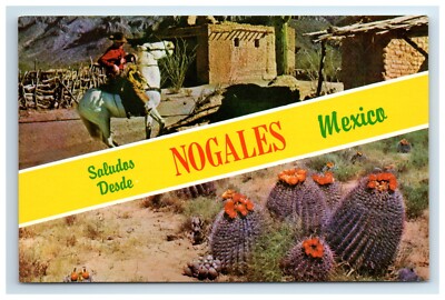 Postcard Saludos Desde Nogales Mexico Cowboy Cactus Greetings 