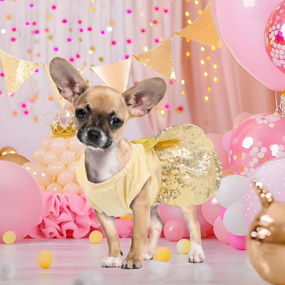Elegant Birthday Dog Dress with Gold Sequin for Small to Large Pets  744759905963| eBay