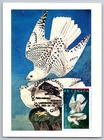 Canada 2003 John James Audubon FDC Maxi Card w/Pictorial Cancel Falcon