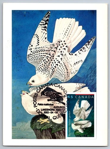 Canada 2003 John James Audubon FDC Maxi Card w/Pictorial Cancel Falcon