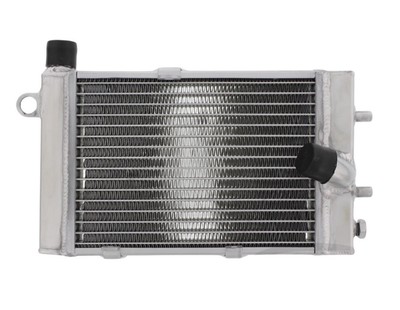Radiator Jpm Aprilia Rst 1000 Mille Futura RSV Sl 1000 Falco Tuon