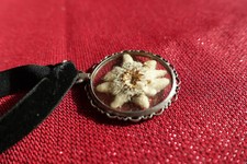 Kropfbandl m echtem Edelweiß - 40er Jahre - Samtband m Edelweißanhänger - Vintag