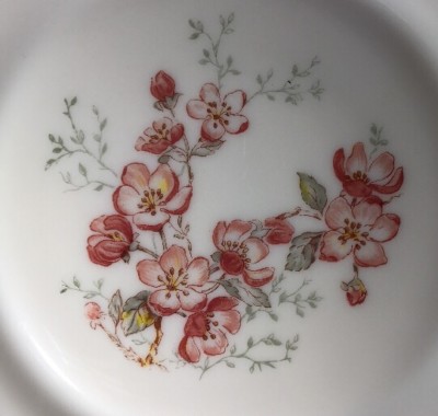 Lot 6 Assiettes Plates Vintage Arcopal France Diamètre 19,5 Cm Décor Marin